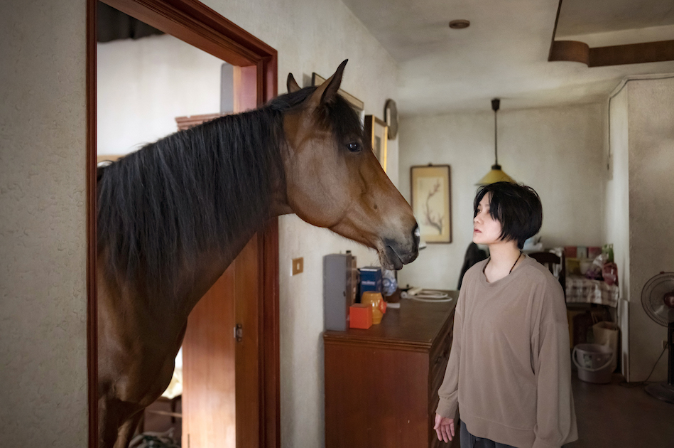 The Horse | 第19回大阪アジアン映画祭 Osaka Asian Film Festival 2024